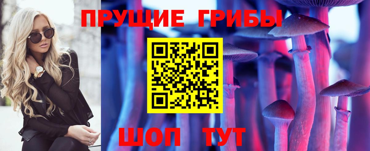 Галлюциногенные грибы мицелий  Вход с VPN  Новотроицк 