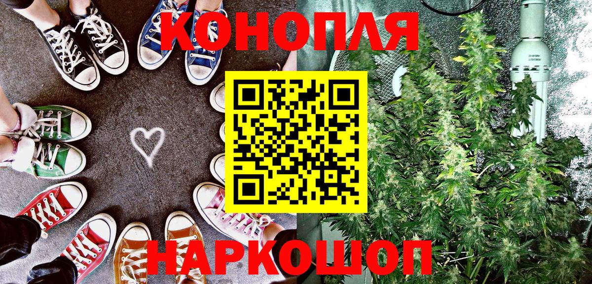 Шишки марихуана конопля  Вход с VPN  Марихуана OG Kush  Бошки Шишки планчик  Новотроицк 